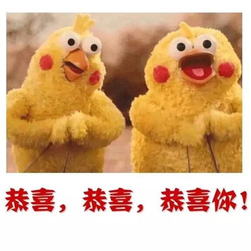 示例图片